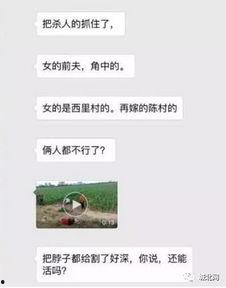 藁城网友爆料最新,揭秘当地最新热点事件
