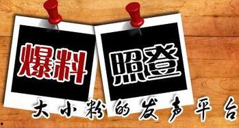 粤语新闻最新爆料,最新事件内幕大揭秘! 第3张 粤语新闻最新爆料,最新事件内幕大揭秘! 第3张