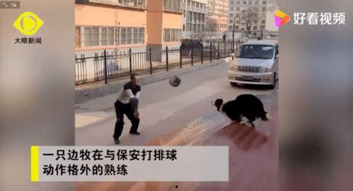 雷诺爆料贵阳二小姐期间视频,雷诺爆料视频背后的真相 第3张 雷诺爆料贵阳二小姐期间视频,雷诺爆料视频背后的真相 第3张