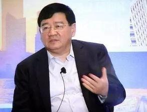 徐小平爆料亲戚视频,揭秘背后真相与争议
