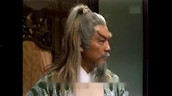 射射视频在线观看,在线观看的视听盛宴