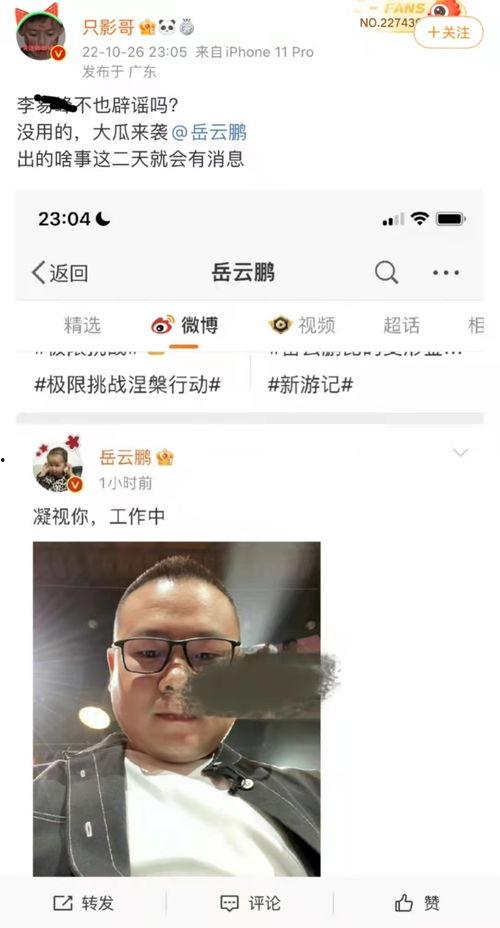 蛋仔辟谣爆料视频,视频爆料背后的真相解析 第3张 蛋仔辟谣爆料视频,视频爆料背后的真相解析 第3张