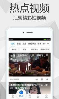 小猫时装爆料视频下载,萌宠时尚界的惊喜亮相 第2张 小猫时装爆料视频下载,萌宠时尚界的惊喜亮相 第2张