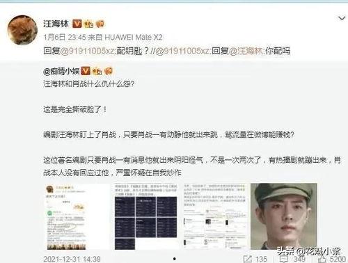 娱乐大爆料汪海林,揭秘娱乐圈幕后真相  第1张