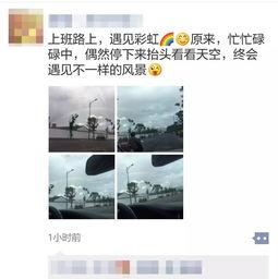 彩虹最新爆料视频,揭秘神秘视频背后的惊人真相  第3张